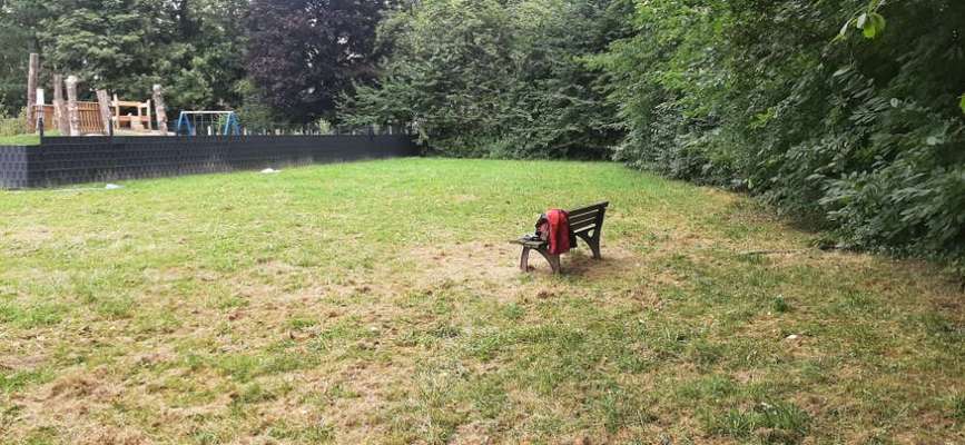 Hundeauslaufgebiet-Hundewiese Bönen-Bild