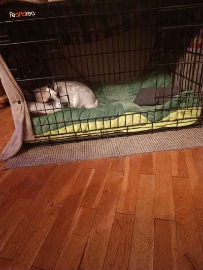 Erfahrung mit Wolkenbett-Beitrag-Bild