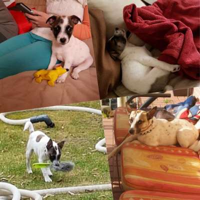 Zutreffende "Vorurteile"?-Beitrag-Bild