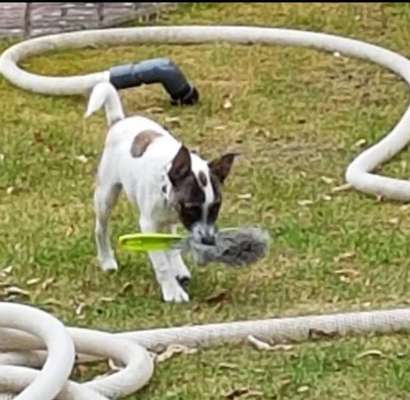 Lustige Grimassen & verrückte Posen-Beitrag-Bild