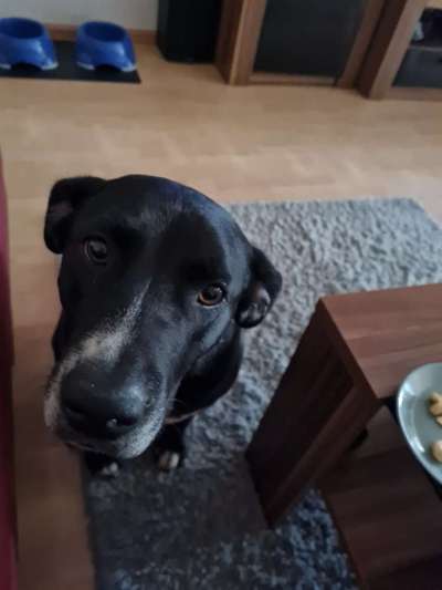 Handy-Foto Challange Nr. 10-Beitrag-Bild