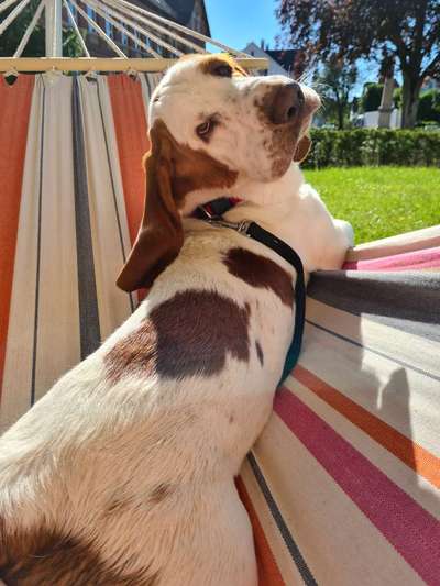 Foto Challange Nr.80-Beitrag-Bild