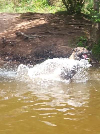 Theos  Fotochallenge Nummer 2-Beitrag-Bild