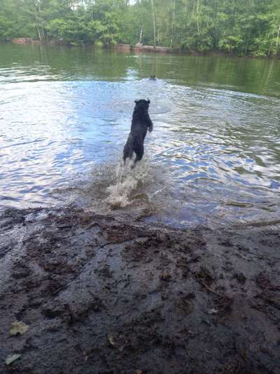 Theos  Fotochallenge Nummer 2-Beitrag-Bild