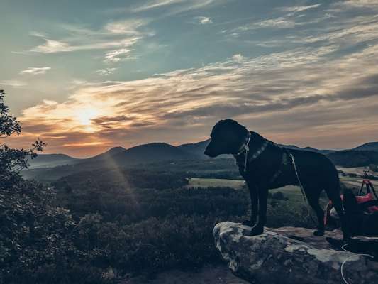 42.Fotochallenge - Eure schönen Momente beim Spaziergang-Beitrag-Bild