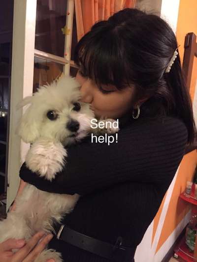 Die lustigsten Selfies mit Deinem Hund !-Beitrag-Bild