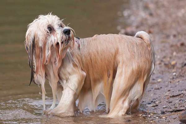 Lieblingsbild-Beitrag-Bild