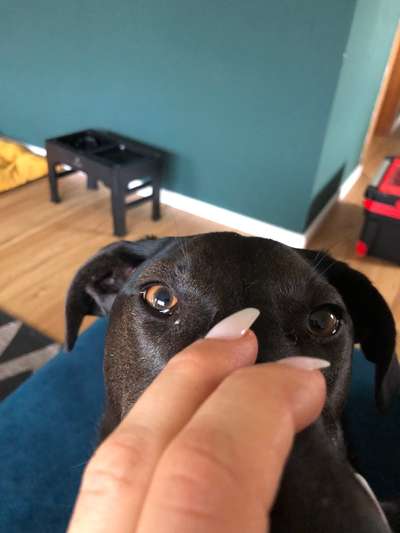 Tränendes Auge
Könnte es Zug oder Staub sein?-Beitrag-Bild