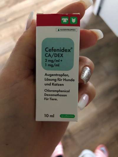 Tränendes Auge
Könnte es Zug oder Staub sein?-Beitrag-Bild