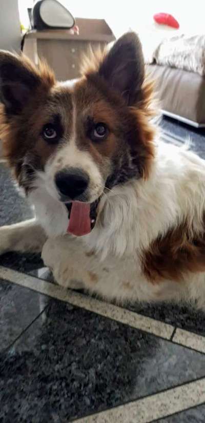 Lieblingsbild-Beitrag-Bild