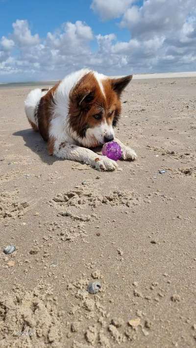 19. Farben  Fottochallenge :
Lieblingsfarbe-Beitrag-Bild