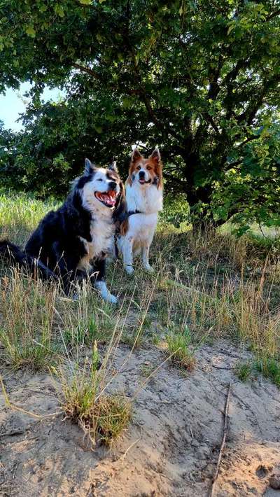 Dogorama Photo Challenge - Gegensätze-Beitrag-Bild