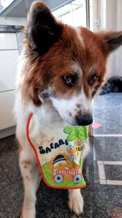 Zeigt eure Portraits-Beitrag-Bild