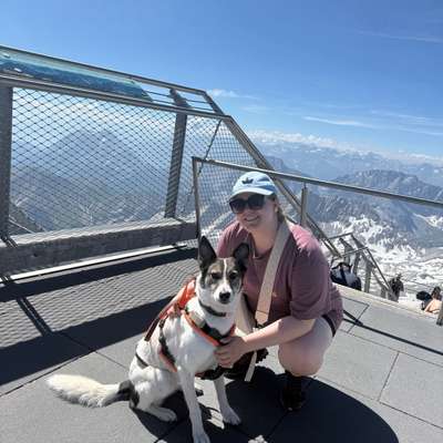 Hundetreffen-Spielen und Spazieren-Profilbild