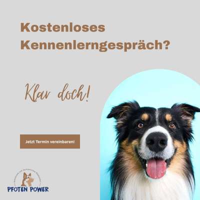 Giftköder-Kostenloses Kennenlerngespräch-Bild