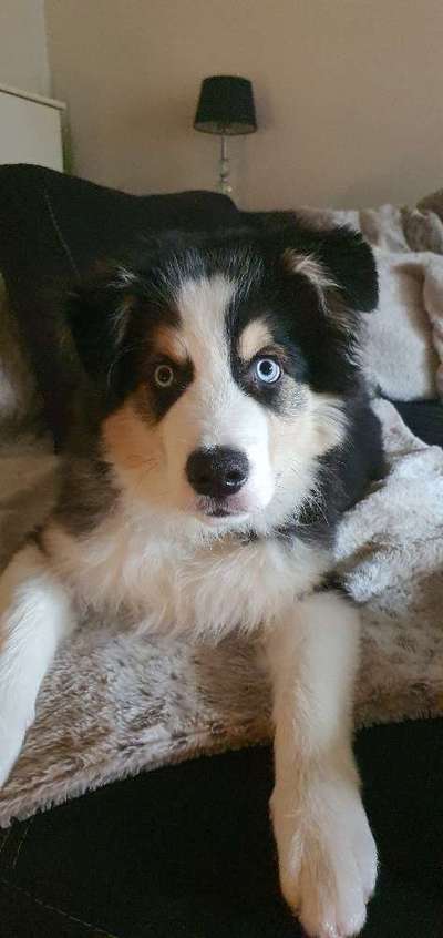 Fotochallange Nr. 57     PORTRÄT.   Beendet!!!!!!!!-Beitrag-Bild