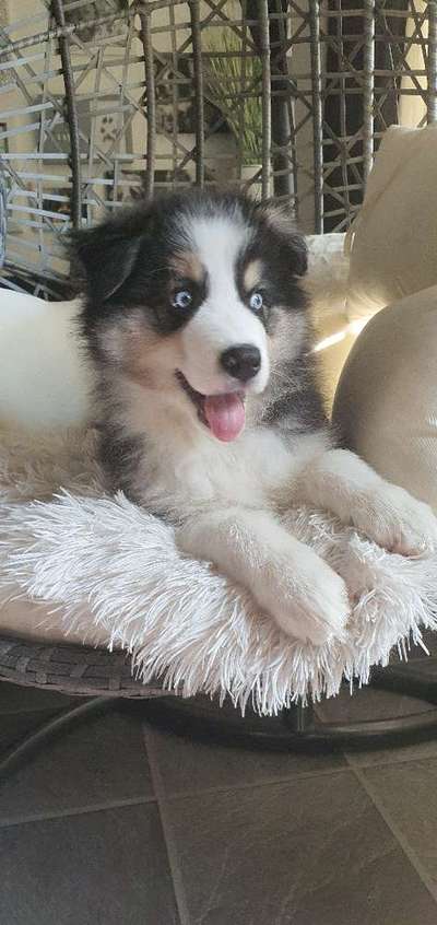 Lieblingsbild-Beitrag-Bild