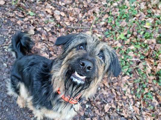 Dogorama Photo Challenge - Es wird nochmal kalt!-Beitrag-Bild