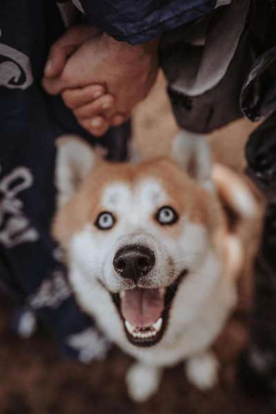 146. Foto Challenge: Maulaufreisser-Beitrag-Bild