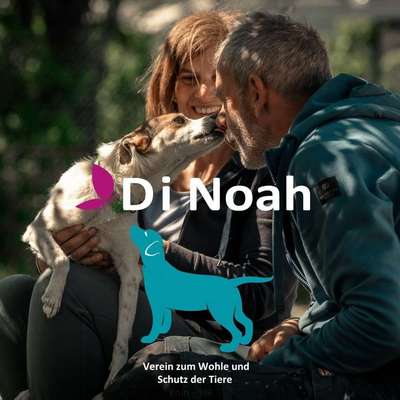 Titelbild Gruppe Tierschutz Kroatien Herzprojekt Shelter DiNoah Knin