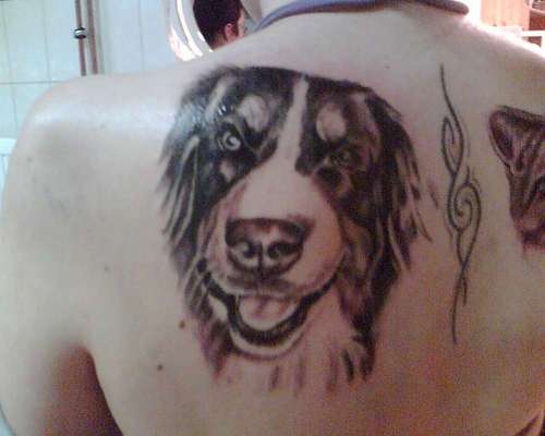 Erinnerungs Tattoos-Beitrag-Bild