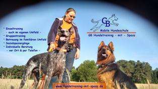 Hundeschulen-GB Hundetraining - mit - Spass-Bild