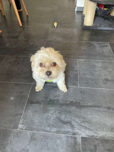 Handy-Foto Challange Nr. 10-Beitrag-Bild