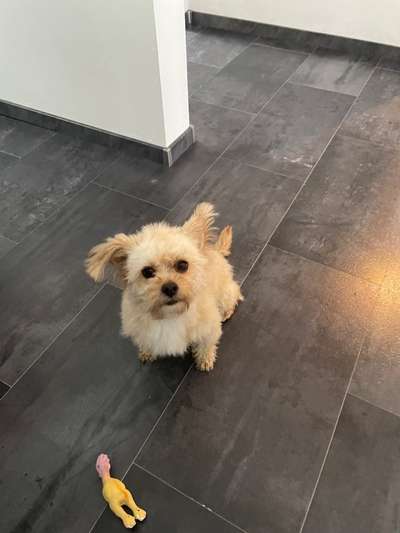 Handy-Foto Challange Nr. 10-Beitrag-Bild