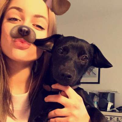 Hundetreffen-Wer will mit Lucy und mir Spazieren kommen?-Profilbild