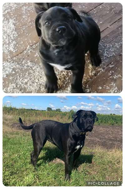 28. Handy-Fotochallenge - Damals und heute-Beitrag-Bild