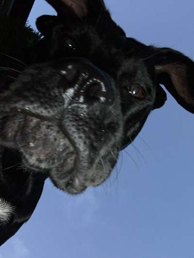 23. Handy Foto-Challenge-Beitrag-Bild