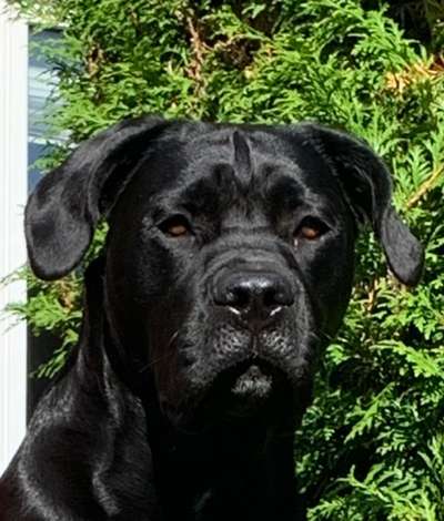 Fotochallange Nr. 57     PORTRÄT.   Beendet!!!!!!!!-Beitrag-Bild