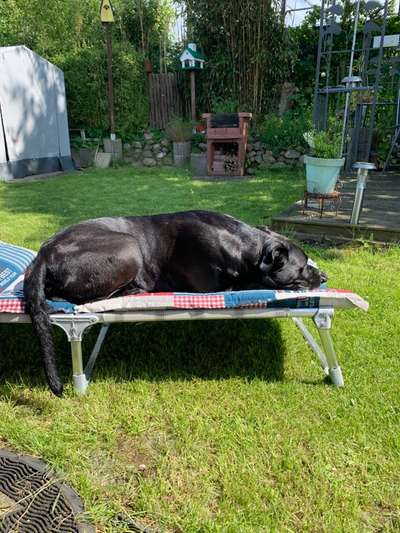 FOTO-Challenge  NR. 91: Die pure Entspannung-Beitrag-Bild