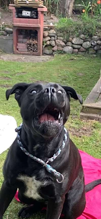 LUSTIGE FOTOS! WER KANN MITHALTEN?-Beitrag-Bild