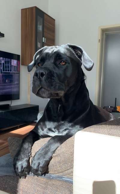 120. Fotochallenge-Beitrag-Bild