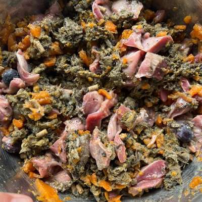 Zeigt her Eure Futternäpfe-Beitrag-Bild