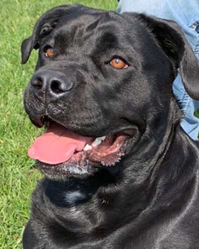 Handyfoto challenge Nr. 13: Waschlappen raus!-Beitrag-Bild