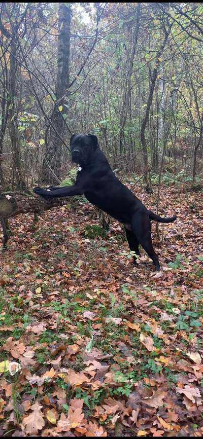 27. Handy Fotochallenge-Beitrag-Bild