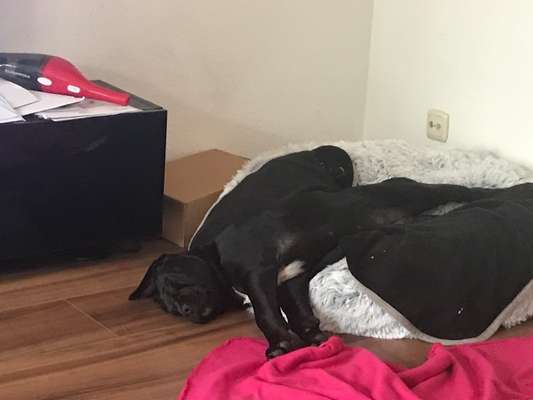 Fotochallange Nummer 5-Beitrag-Bild