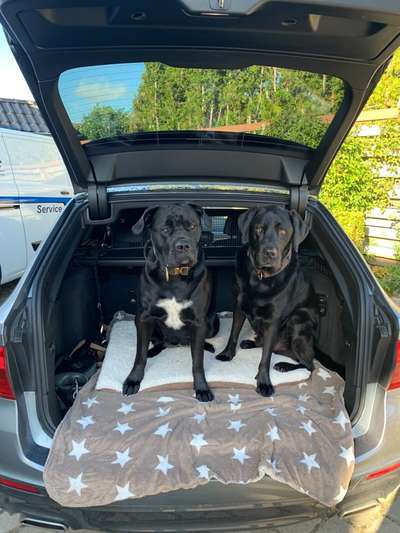 117. Fotochallenge-Beitrag-Bild