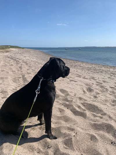 Fotochallenge Nr.100 Urlaubsimpressionen-Beitrag-Bild