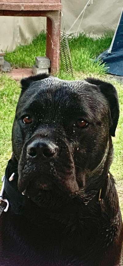 Foto Challenge Nr.133-Beitrag-Bild