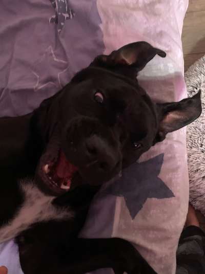 Handy-foto Challange nr. 11-Beitrag-Bild