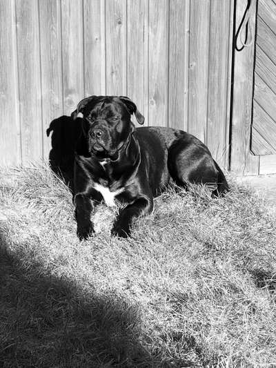 Foto-Challenge 76: Foto in Schwarz-Weiss-Beitrag-Bild