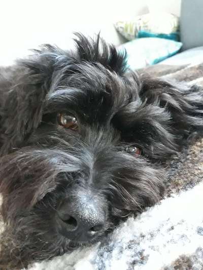 Fotochallenge Nr. 56 - geliebte Senioren-Beitrag-Bild