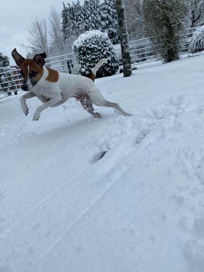 Schnee Foto-Beitrag-Bild