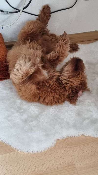 Foto Challenge - Zeigt her eure Bäuche-Beitrag-Bild