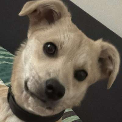 Bettina's Profilbild