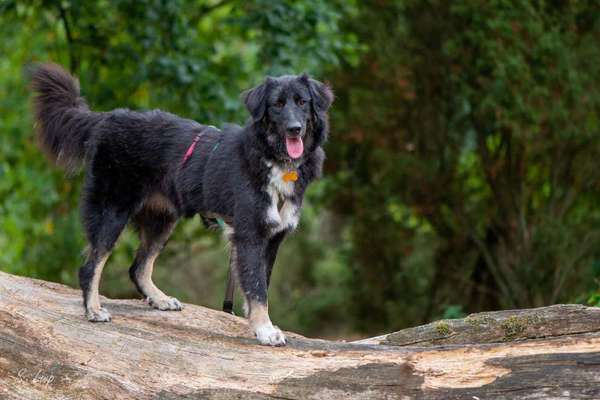 Der Gewichts-Thread-Beitrag-Bild