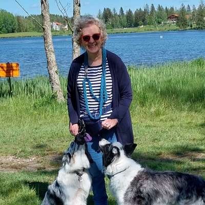 Hundetreffen-Sozial walk